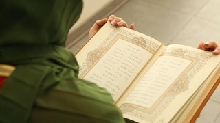 تولید محتوا