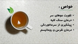 روش تهیه دمنوش میوه نسترن