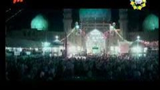 مولا جان برگرد.