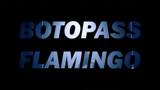 موزیک ویدیو «فلامینگو» از «بوتوپس» با زیرنویس فارسی