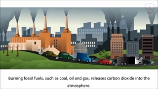 Environment --- Learn English