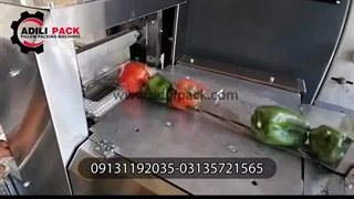 دستگاه بسته بندی فلفل دلمه ای