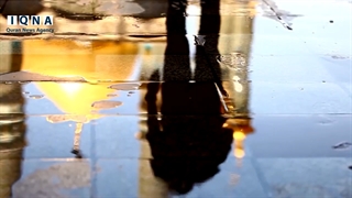 حضرت معصومه (س)؛ آیینه تمام‌نمای دختران شیعه