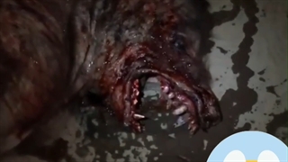 موجودی عجیب در آبادان و جاده نوق رفسنجان