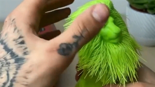 3dprinter(برنا نوآوران پویا)Borna Noavaran Pouyaپرینتر سه بعدی