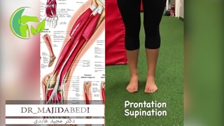 حرکات اصلاحی جهت صافی کف پا