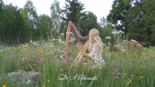 مقصدی به نام خوشبختی وجود نداره اگه از مسیر لذت نبری باختی | دکتر سعید قریشی