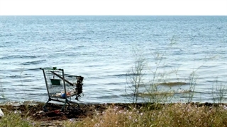 از یافتن کالای دلخواه خود نا امید هستید ؟