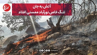 آتش به جان تنگ خاص نورآباد ممسنی افتاد