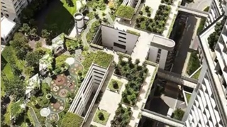 فضای سبز در نقشه های شهرداری