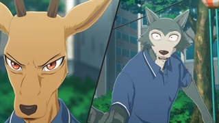 انیمهBEASTARS قسمت نهم ازفصل اول.دوبله فارسی