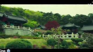 میکس فیلم سینمایی آقای گربه