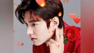 میکس رنگی Leeminho