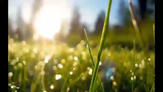 امروز رو به همتون تبریک میگم! ♡~♡