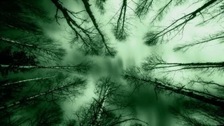 Lustre - Green Worlds موزیک