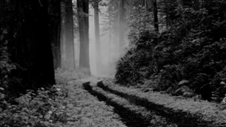 When Autumn is Sad - my depression موزیک