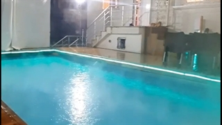 اجاره بااستخر در جنگل دالخانی