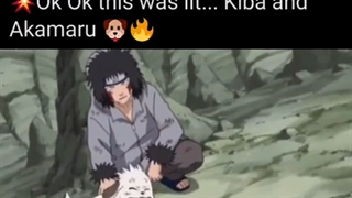 خب.خب اینم از کیبا و اکامارو