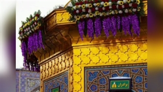 استوری میلاد امام رضا علیه السلام