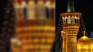 نماهنگ"میشه ضامنم بشی" با صدای غلامرضا صنعتگر