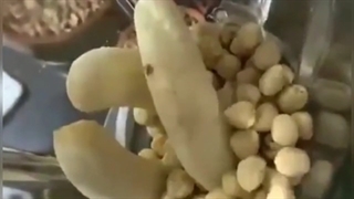 بلندر صنعتی