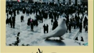 پیشکشی در محضر غریب الغربا