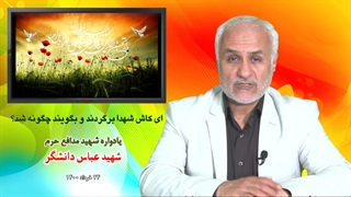 ای کاش شهدا برگردند و بگویند چگونه شد؟