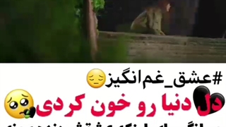 تلخ ترین میکس کیدراما ویرانگر در خدمت شما حاضر است