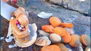 مصداق بارز آیه لؤلؤ و مرجان در قرآن کریم