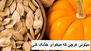 خشک کن میوه و سبزی 09198002868
