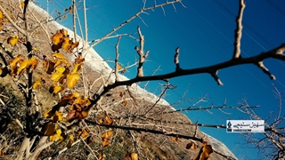 عکس های افسرده