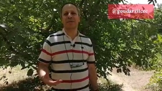 گروه آموزشی طاها