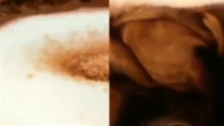 اسپرسو ساز جیمبالی