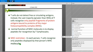 رضایی جلسه 4