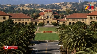 معرفی دانشگاه استنفورد | رشته ها | بورسیه ها | امکانات