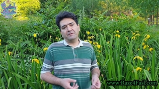 چه عینکی است که اگر به چشم بزنیم، زندگی زیباتر می شود؟