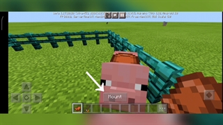 آموزش سوار شدن روی خوک در ماینکرافت Minecraft