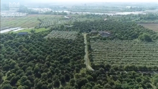 فروش باغ ویلای جنگلی واقع در عباس آباد