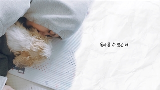 Butterfly_dami^dreamcatcher