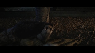 دانلود دوبله فارسی فیلم ایوان بی همتا