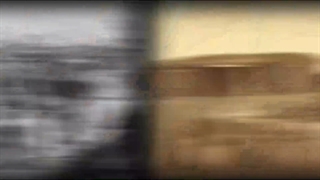 جمعیت مهاجرین در آمریکا | سفیران ایرانیان