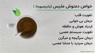 دمنوش بادرنجبویه | عطاری آنلاین | عطارک