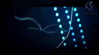 فشار خون بالا باعث سردرد می شود؟