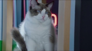 قسمت 8 سریال چینی عاشق لبخندت شدم + با زیرنویس فارسی + Falling Into Your Smile 2021 + قسمت هشتم سریال چینی عاشق لبخندت شدم