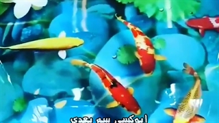 اپوکسی سرویس بهداشتی