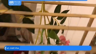 آموزش تشریفات عروسی | ایده های جالب عروسی | پذیرایی و تشریفات (زیبایی منزل نو عروس با استند)