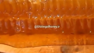برداشت عسل از کندو_شیرین گل
