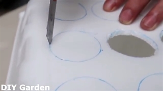 کاشت سیر و پیاز در ظروف یکبار مصرف