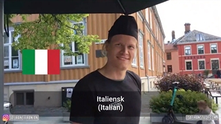 زبان نوروژی با سفیران ایرانیان