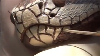 «فوق‌العاده زیبا و شیک»